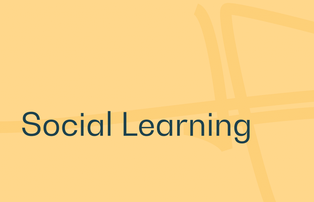 Todo lo que necesita saber sobre el social learning